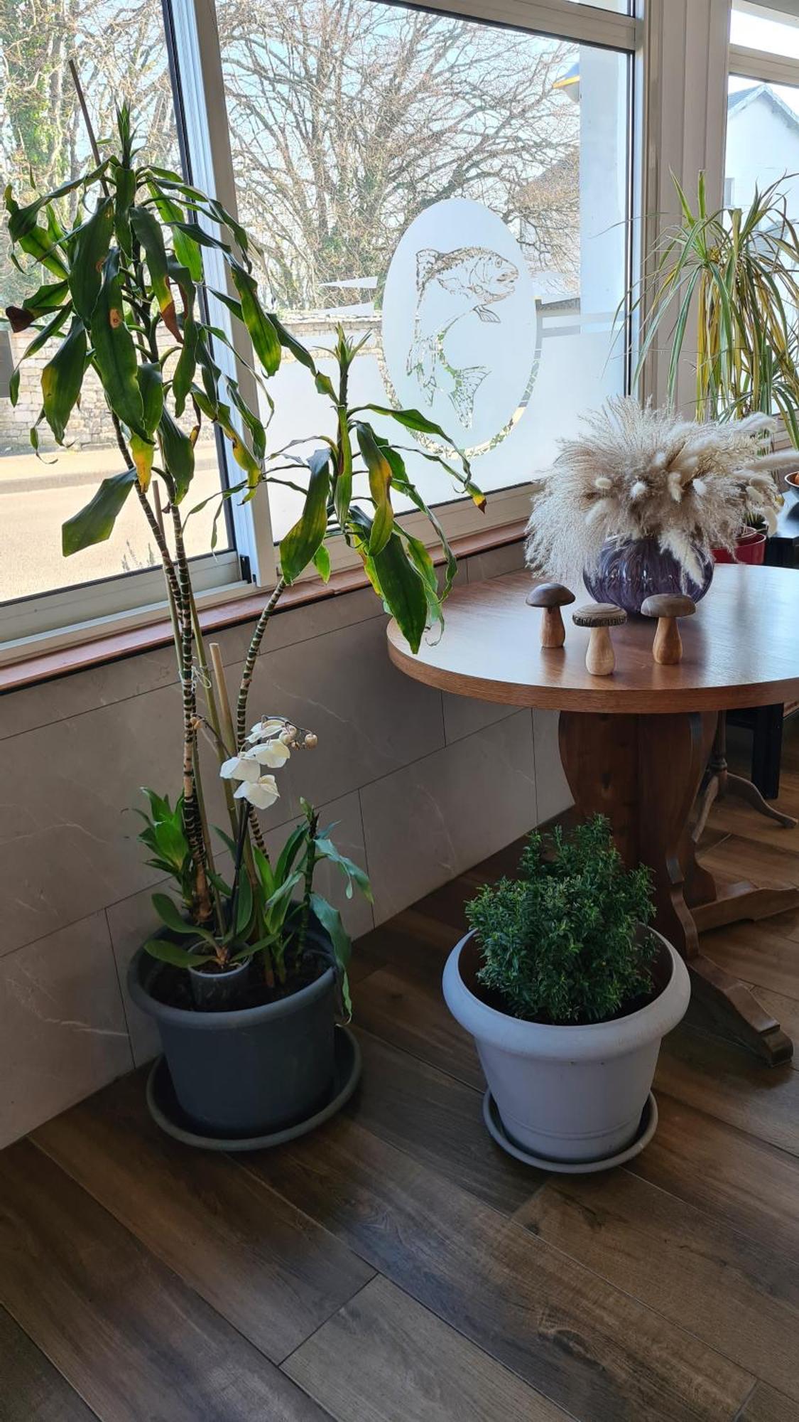 La Truite De La Loue Hotel Quingey Kültér fotó